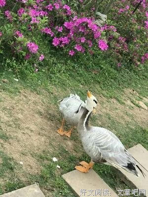安居乐业的名人名言