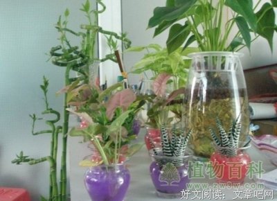 关于趋利避害的座右铭