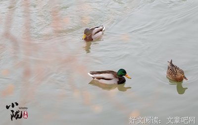 青山绿水的名人名言