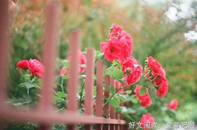 青春感伤名句欣赏