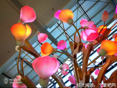 关于时间偷起来了青春的句子
