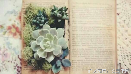 关于喜欢的句子