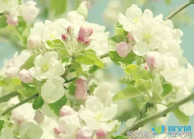 晨光句子