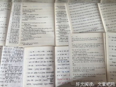 荆棘的摘抄本。好词好句