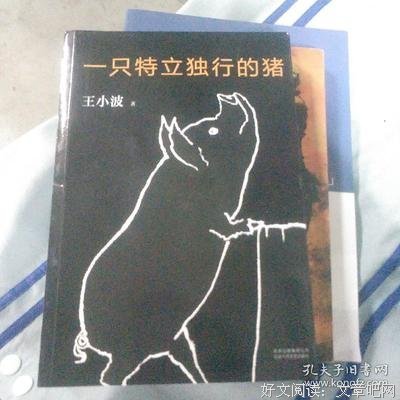 一只特立独行的猪经典读后感有感