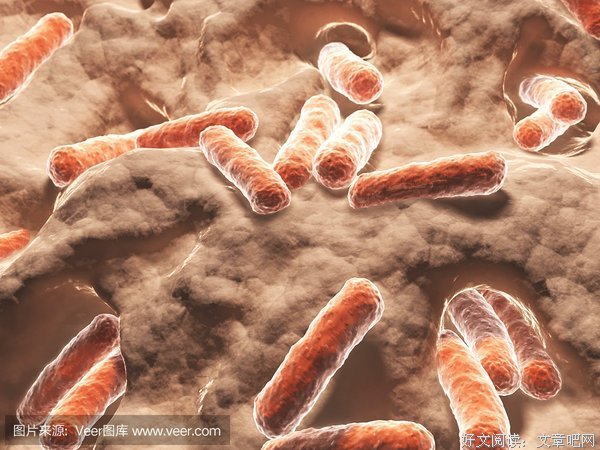 《《我的微生物朋友：土壤里的王国》》读后感精选