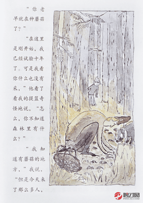 太阳之塔的读后感大全