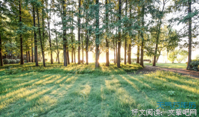 止步不前的语句摘抄_关于止步不前的语句