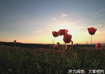 有关绝处逢生的美文美句摘抄