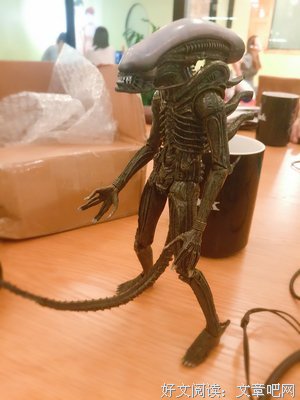 谁能让我开心，我就喜欢谁