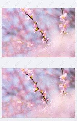 关于逃之夭夭的语句