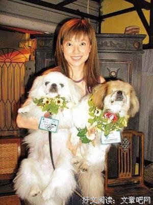 爱开比向汤如命句子