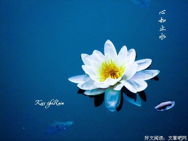 千万人仰慕，我亦心如止水