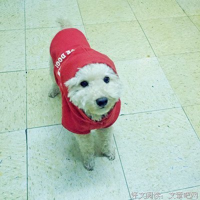 出轨赖狗，你是不是男人？