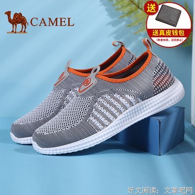 骆驼祥子经典读后感有感