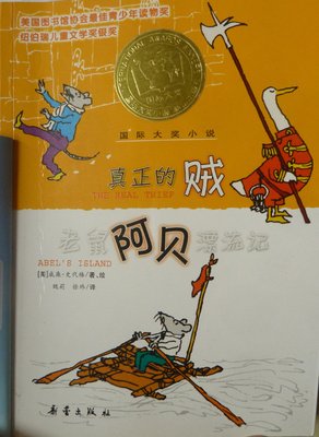 《衣柜里的贼》经典读后感有感