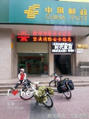 关于牛牛的优美句子