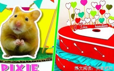 《心迷宫2》观后感摘抄