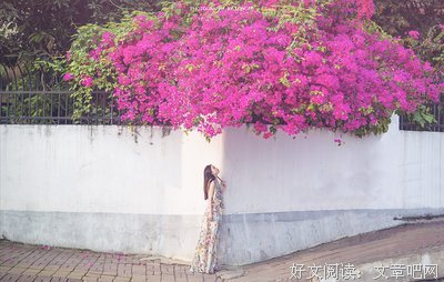 《拐个弯儿遇见你》经典影评集