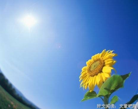 任何时候都不要抛弃自己