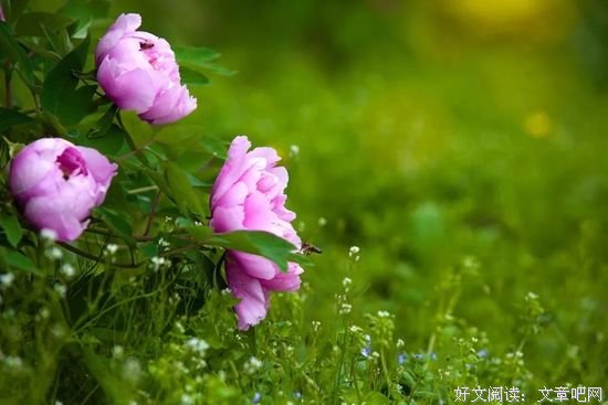 享受快乐的过程 