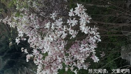 15条关于急转直下的经典语句