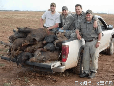 泛滥成灾的语句摘抄_关于泛滥成灾的语句