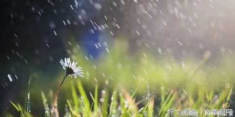 关于常言道的语句