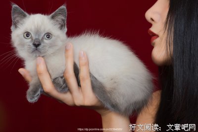 关于冷若冰霜的名言