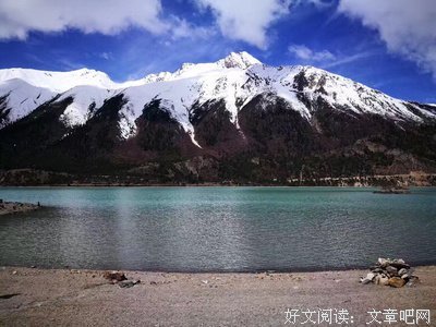 补发