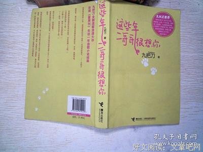 《这些年，二哥哥很想你》的读后感大全