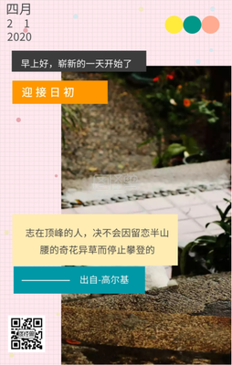 浑沌草的名言