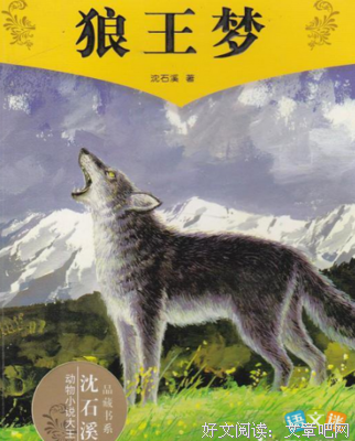 这些年读后感精选