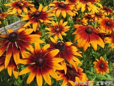 15条关于好高骛远的经典语句