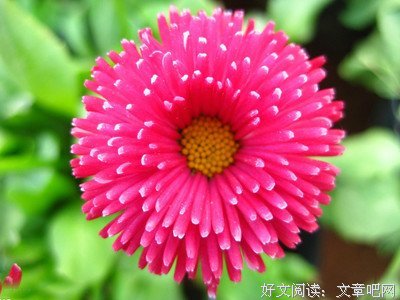 关于真知灼见名言名句