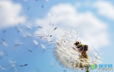 阳光以物透明也有一抹阴影的优美句子