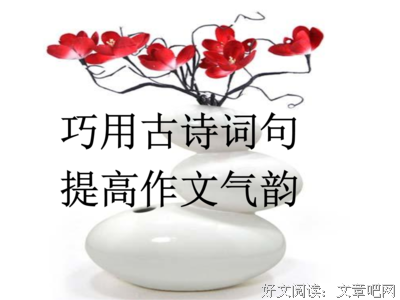 古诗词句
