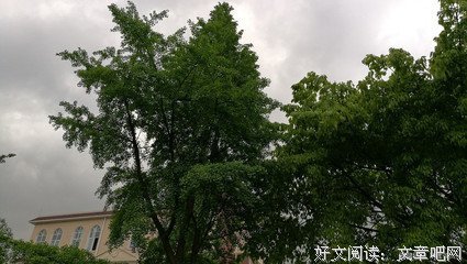 关于触动我的心的句子