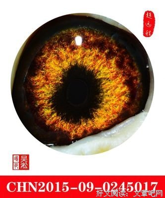 爱是沧海遗珠经典的句子
