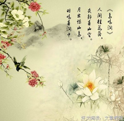 诗意人生27期：身在红尘梦在天，心如静水度流年