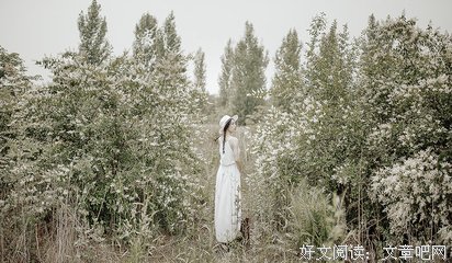 关于流年的句子