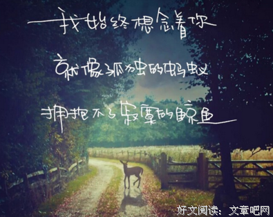 爱情的句子