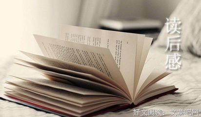 中亚纪行读后感100字