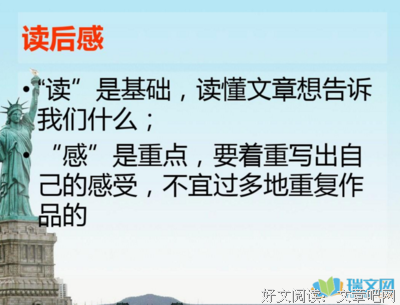《兔子先生》读后感锦集