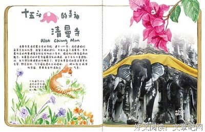 《苏三的花花草草、瓶瓶罐罐》读后感100字