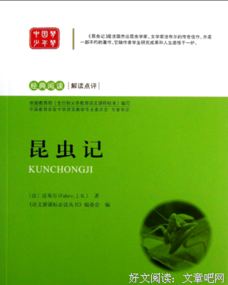 像设计师那样思考的读后感大全