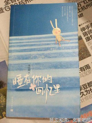 最新的《睡在你的回忆看向当时将》佳句摘抄