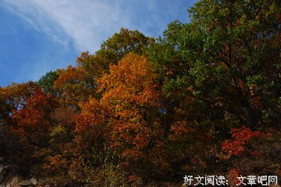 关于饱经风霜的名言