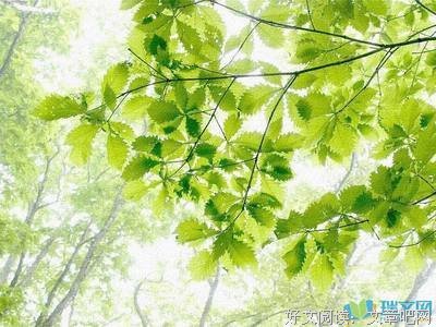 描写豪言壮语的语句摘抄