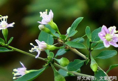 关于闭口不谈的名言